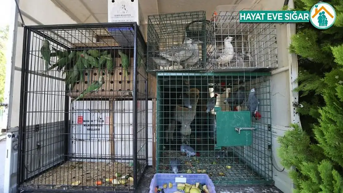 Gaziantep Hayvanat Bahçesi yeni misafirlerini ağırlamaya başladı