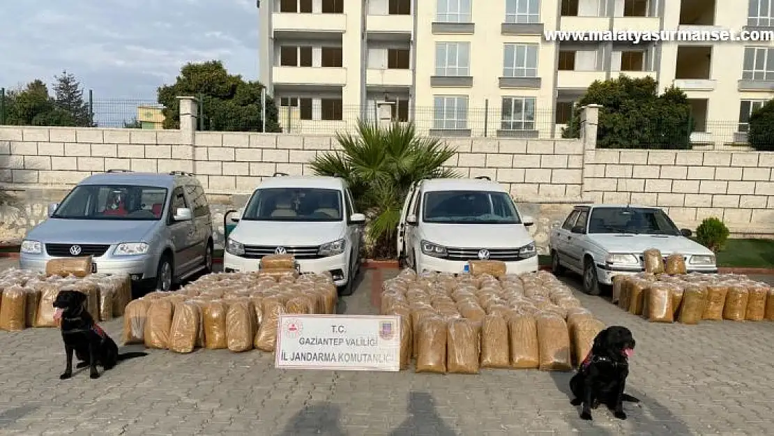 Gaziantep'te 1 ton 900 kilo kaçak tütün ele geçirildi