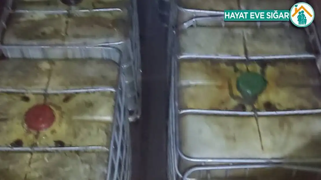 Gaziantep'te 12 bin litre kaçak akaryakıt ele geçirildi