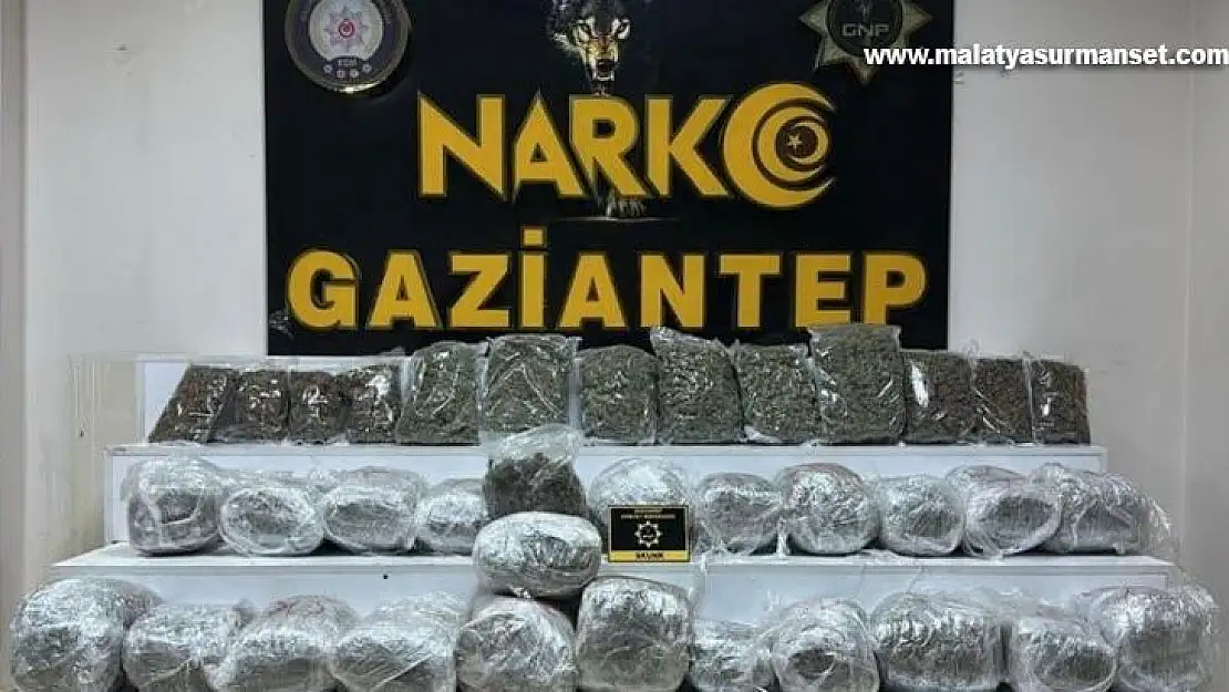 Gaziantep'te 28 kilo 400 gram skunk ele geçirildi