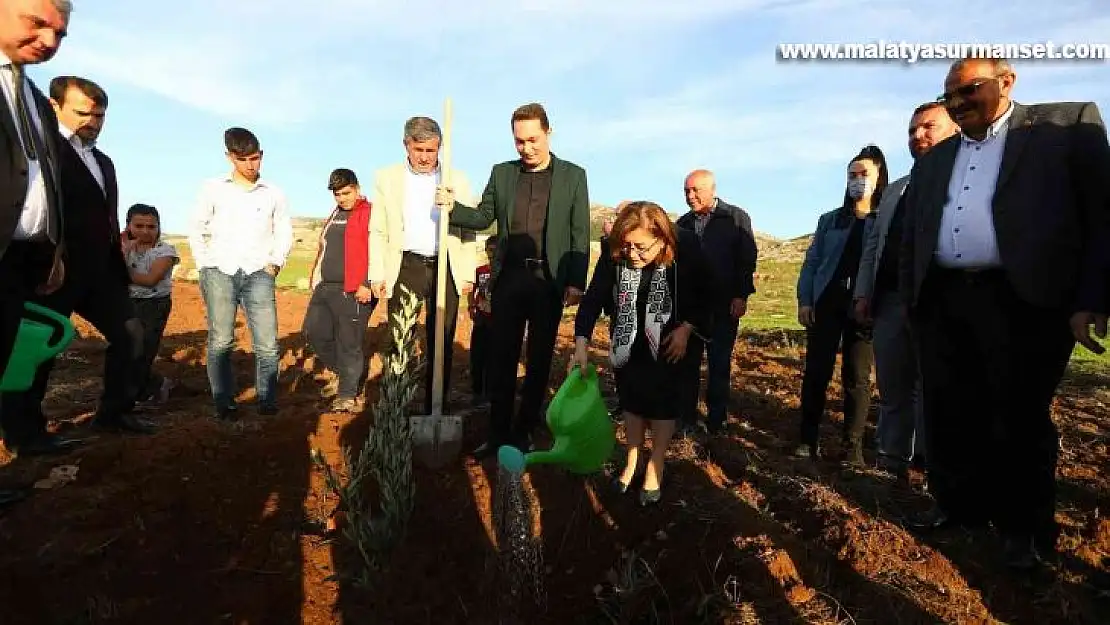 Gaziantep'te 75 bin zeytin fidanının dağıtımına başlandı