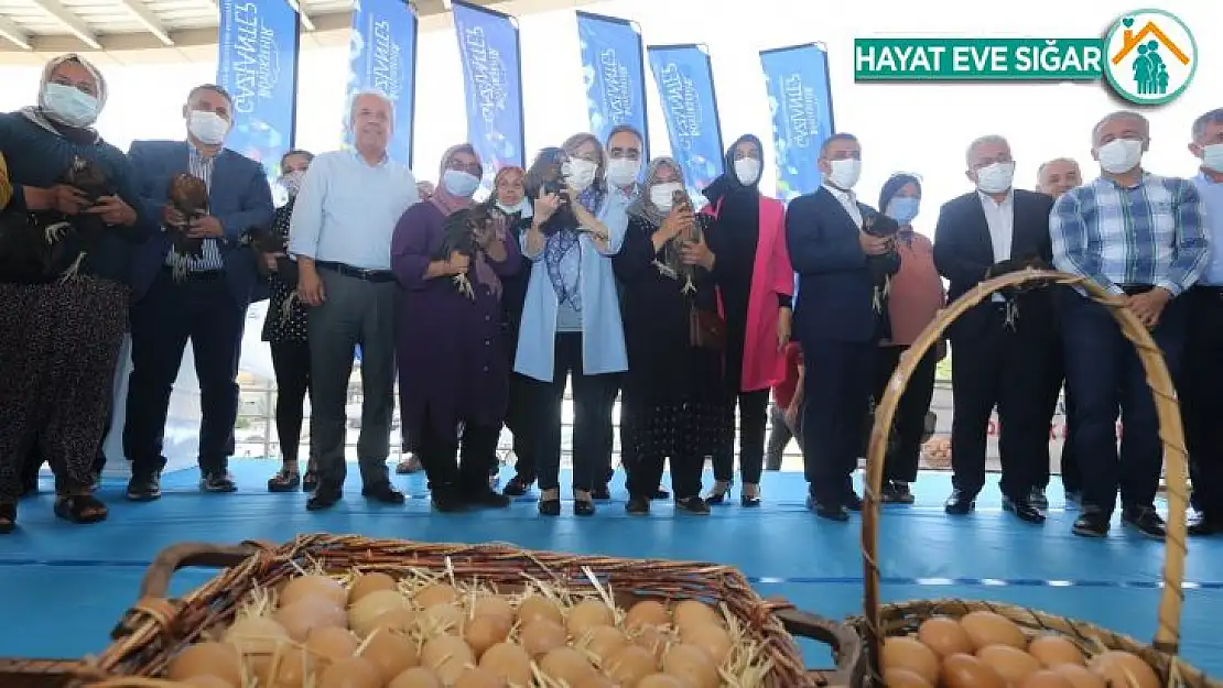 Gaziantep'te, bölgeye uyumlu 70 bin tavuk dağıtıldı