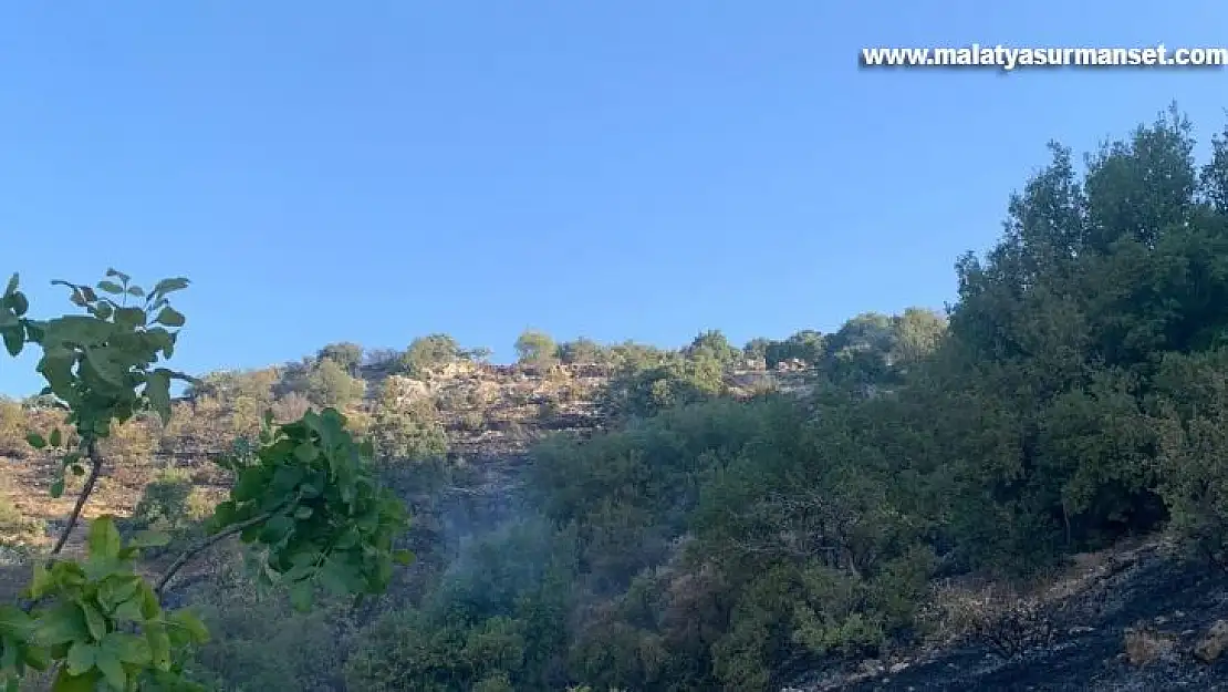 Gaziantep'te orman yangını korkuttu