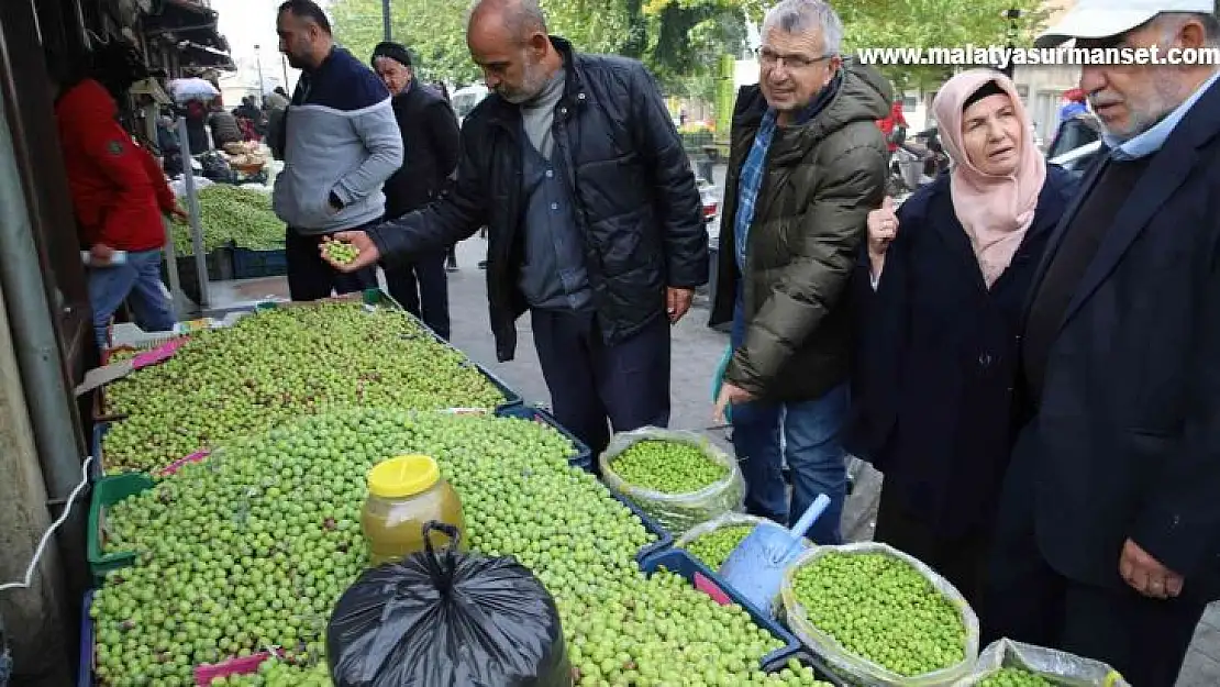 Gaziantep'te yeşil zeytin tezgaha indi