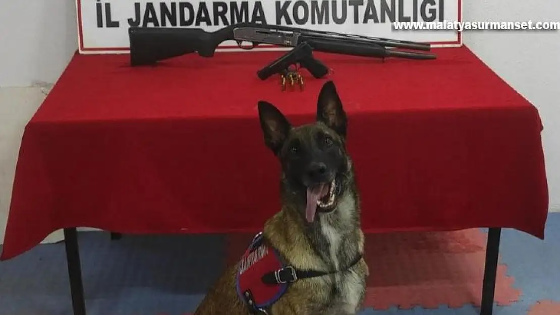 Genç maganda kendisini sosyal medyadan ele verdi