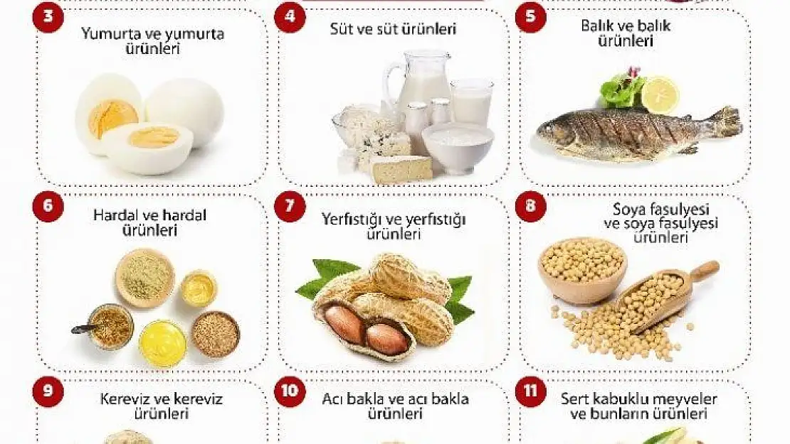 Gıdada yeni dönem