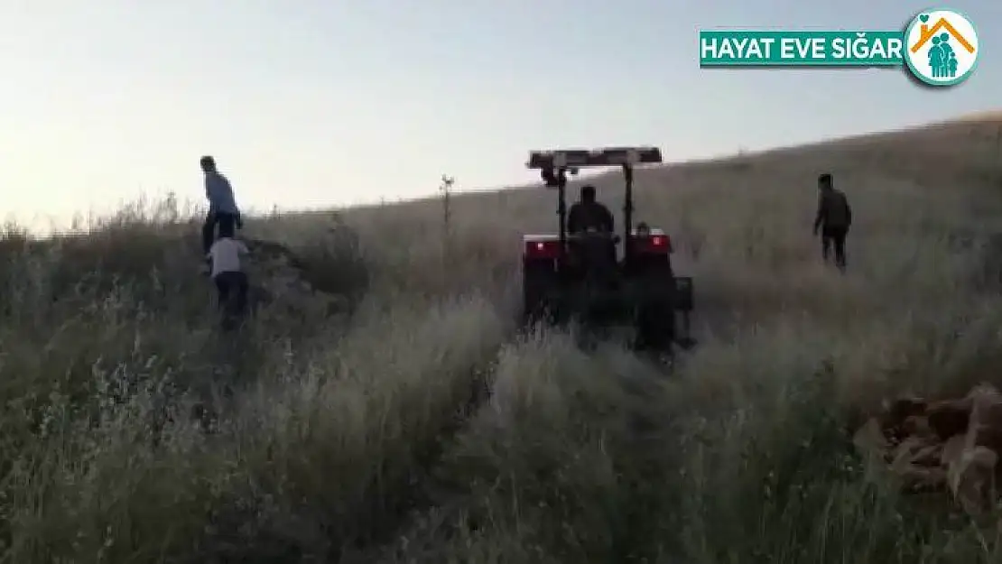 Gök taşı düştüğünü sonradan fark ettiler, tarlaya çıkıp aramaya başladılar