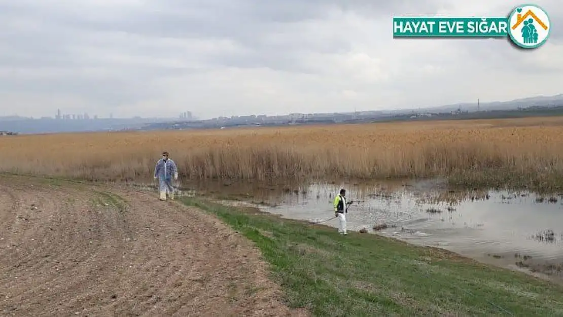 Gölbaşı Belediyesinden böceklere karşı ilaçlama