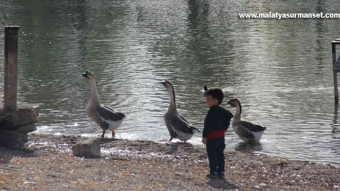 Gölbaşı Gölleri Tabiat Parkı sonbaharda ayrı güzel