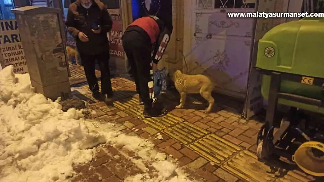 Gölbaşı itfaiyesi sokak hayvanlarını unutmadı