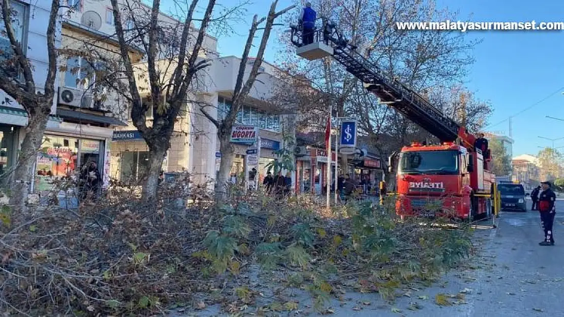 Gölbaşı'nda ağaçlar budanıyor