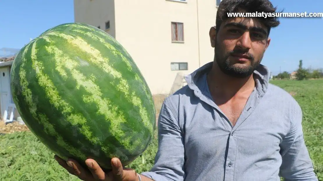 Görüntüsü göz kamaştırıyor, lezzeti damakları tatlandırıyor