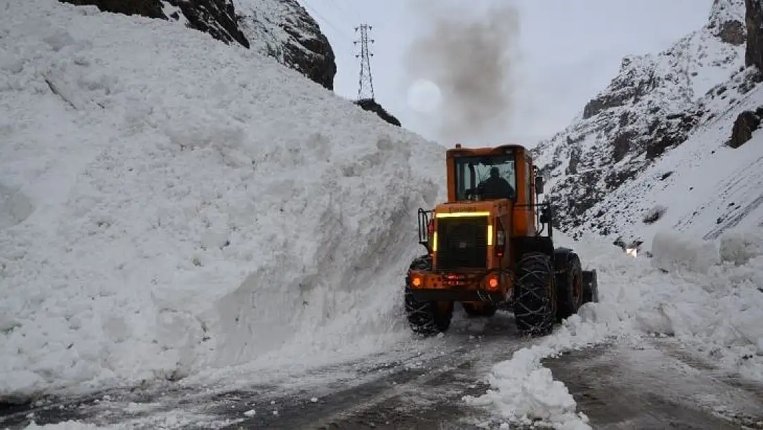 Hakkari-Çukurca kara yoluna çığ düştü