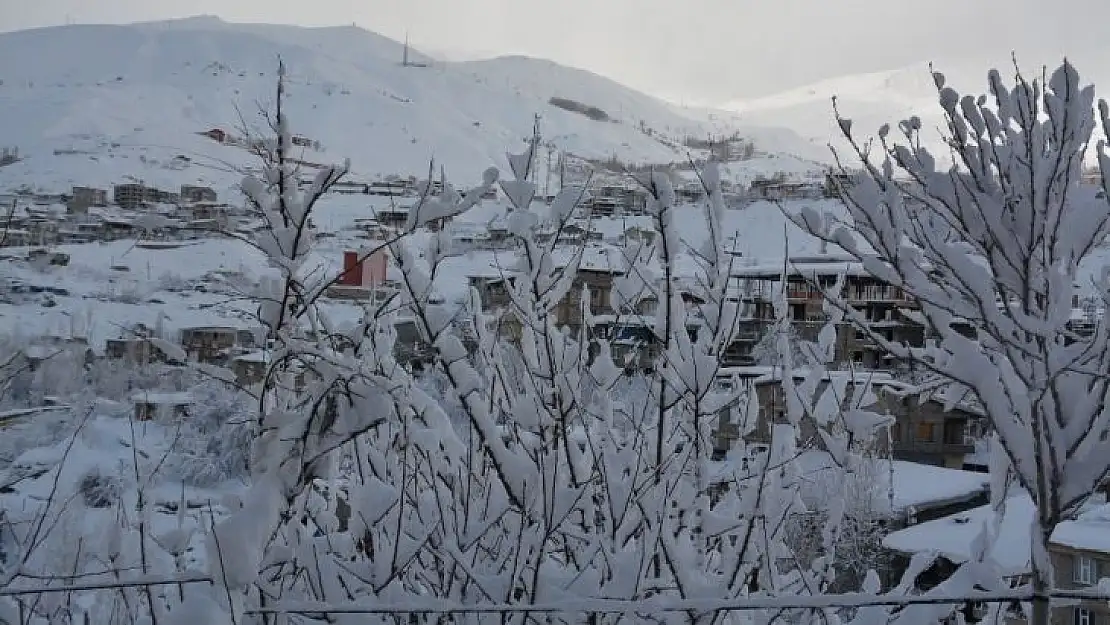 Hakkari'de 113 yerleşim yerinin yolu kapandı