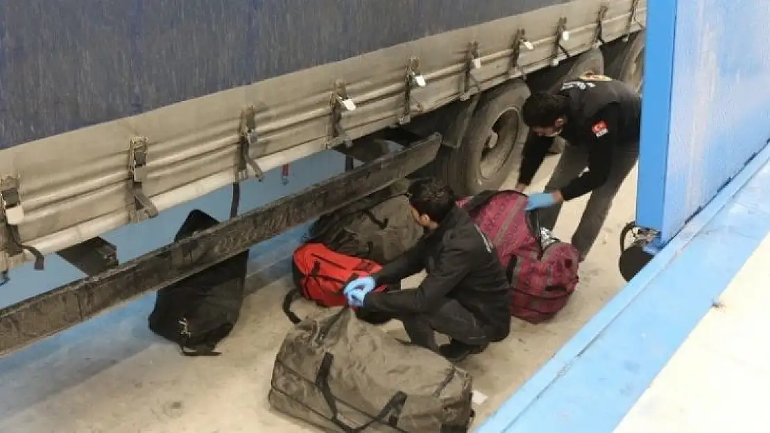 Hamzabeyli'de 24 milyon 650 bin adet makaron ile 44 kilogram esrar ele geçirildi