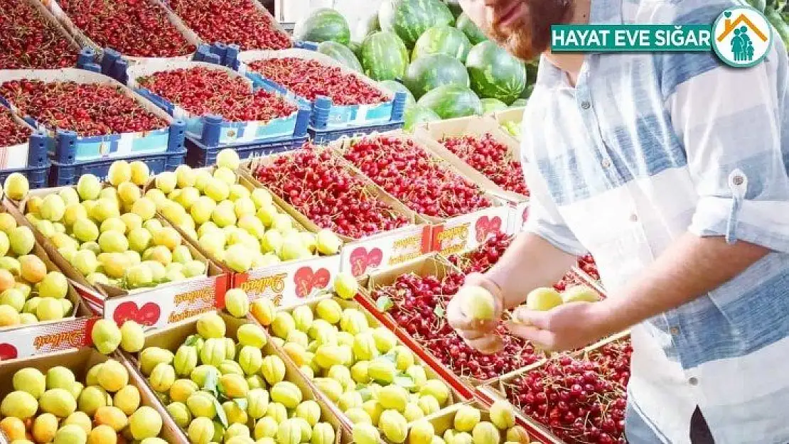 Hasadı başlayan yaş kayısı en pahalı meyve olarak dikkat çekiyor