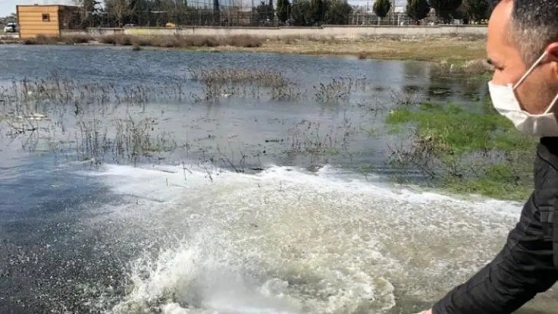 Haşere ilaçlamaları başladı