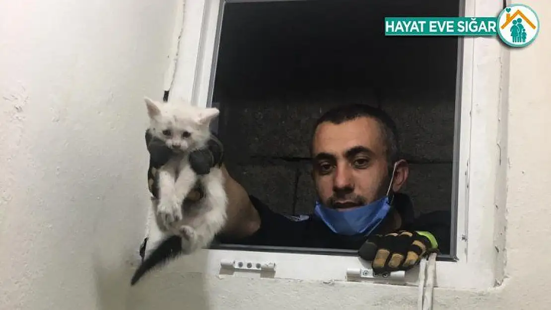 Havalandırma boşluğuna düşen yavru kedi kurtarıldı