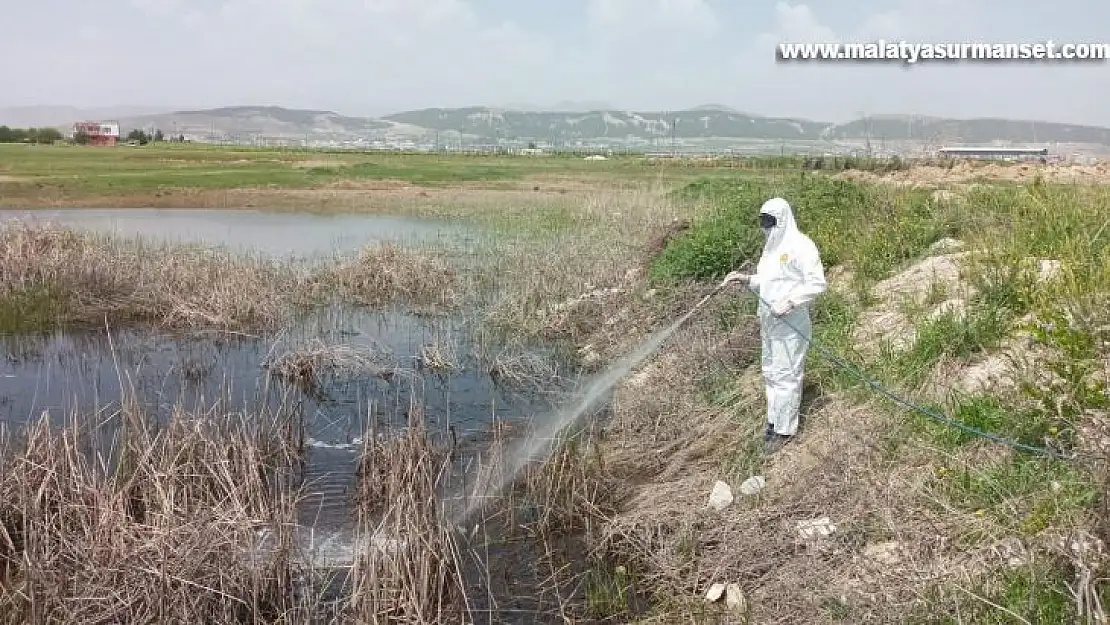 Havalar ısındı ilaçlama çalışmaları hız kazandı