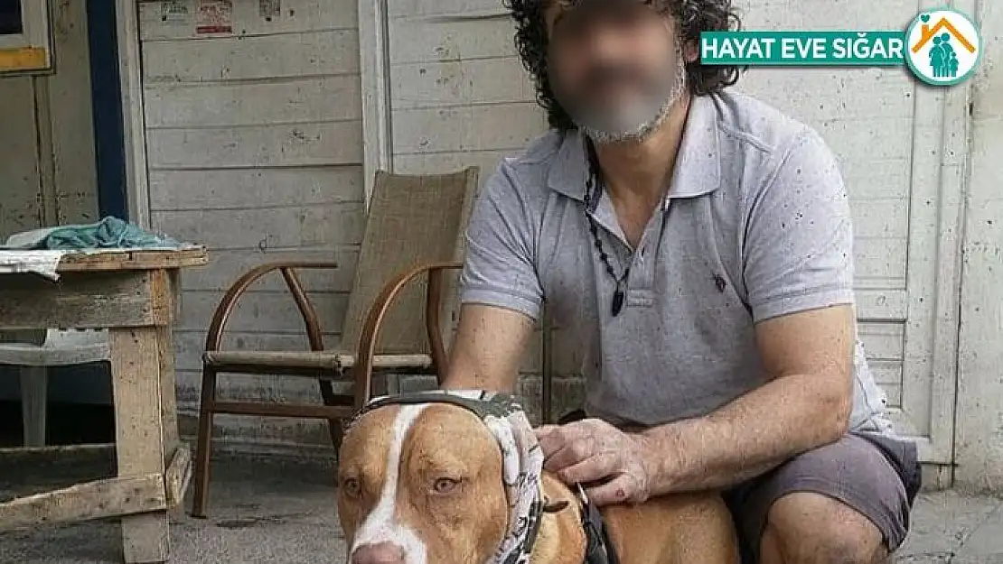 Havlayan köpekleri ve sahibini bıçakladılar