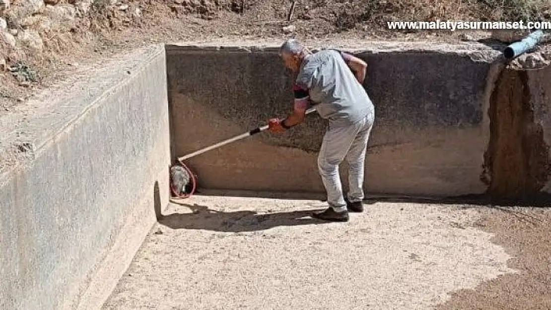 Havuzdan çıkamayan porsuğu ekipler kurtardı