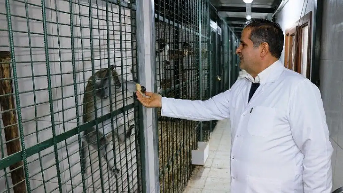 Hayvanat bahçesinde özel kış menüsü