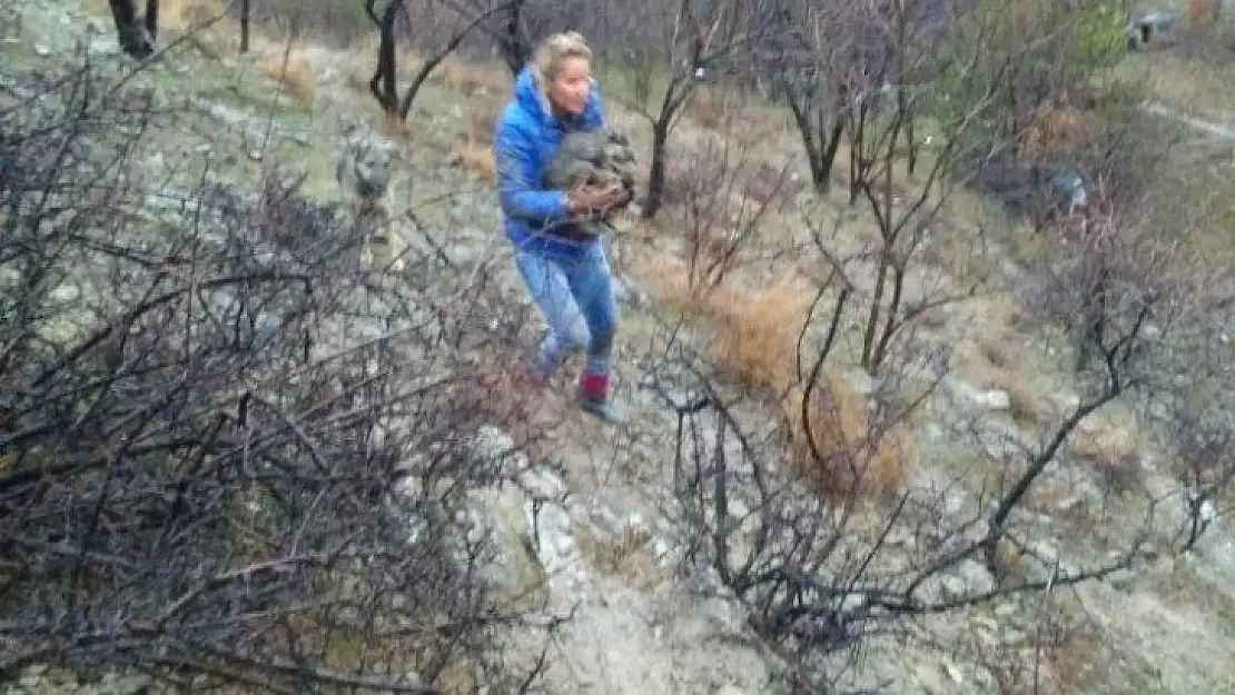 Hayvansever çiftten yürek ısıtan görüntüler