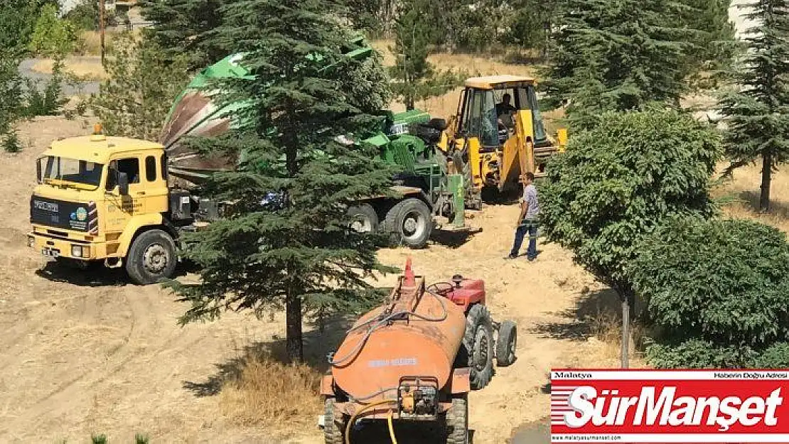 Hekimhan Belediyesi yol çalışma alanındaki ağaçları taşıyor