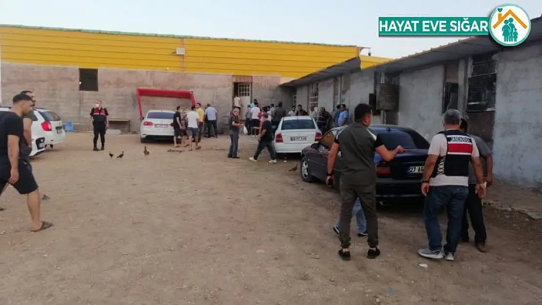 Horoz dövüştürülen çiftliğe baskın: 40 kişiye 60 bin lira ceza