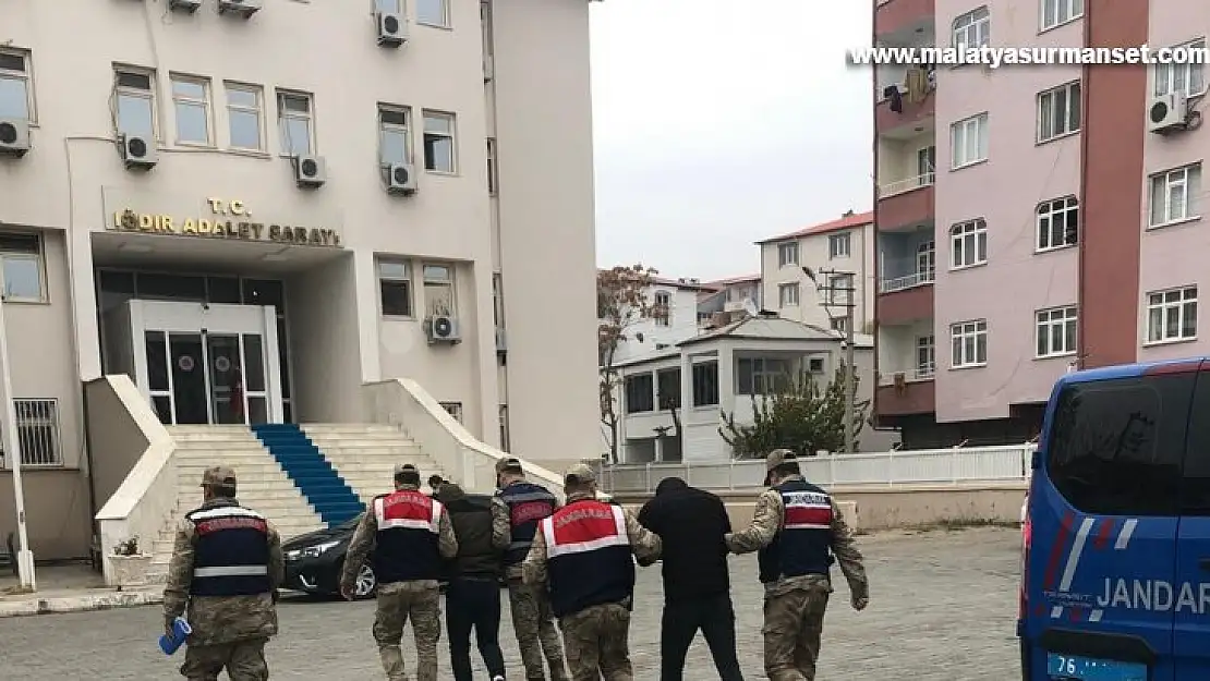 Iğdır'da koyun hırsızlığı: 3 şüpheli tutuklandı