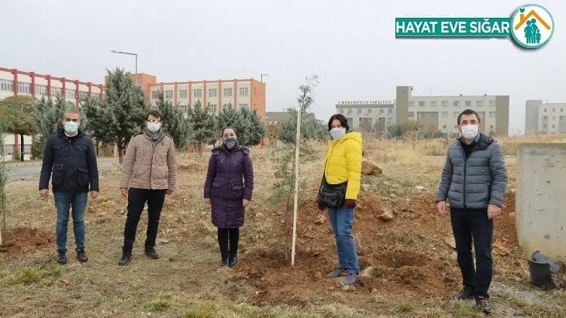 İletişimciler de fidan kampanyasına katıldı