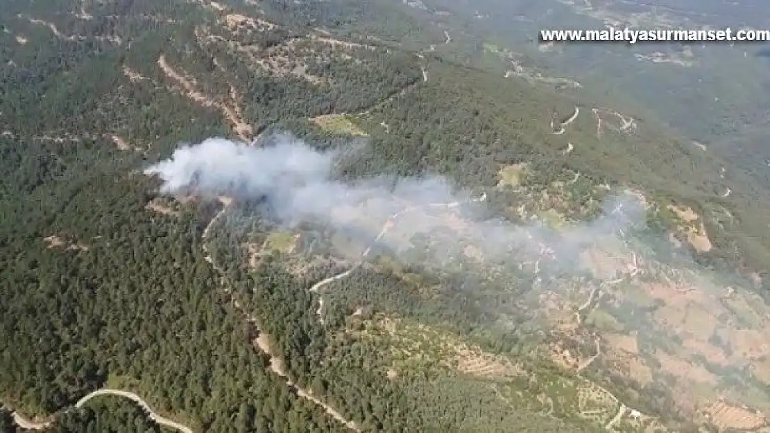 İzmir'de ormanlık alanda yangın