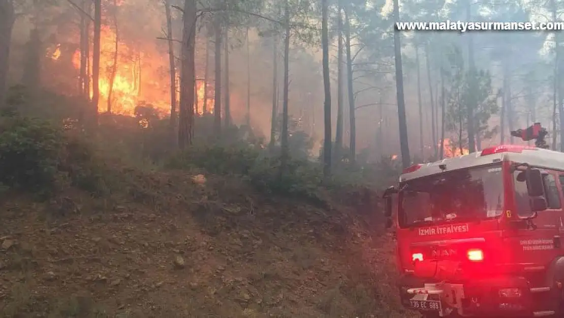 İzmir İtfaiyesi 11 bin 718 yangınla mücadele etti