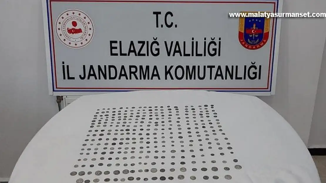 Jandarma alıcı kılığına girdi, Roma ve Bizans dönemine ait 325 tarihi eser ele geçirdi