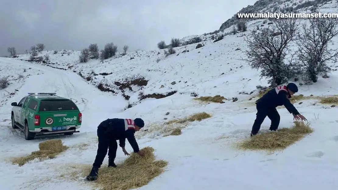 Jandarma çevre ve doğa koruma timleri yaban hayvanlarını unutmadı