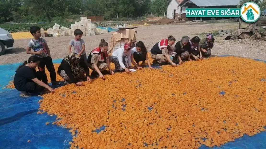 Jandarma'dan bahçede çalışan kadınlara eğitim