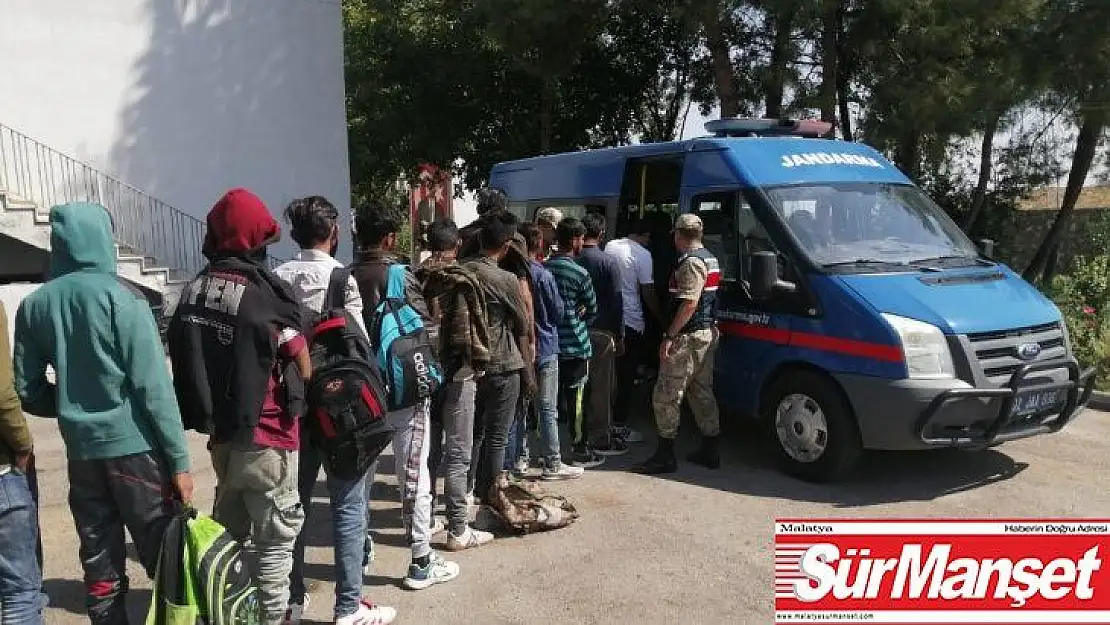 Jandarma ekiplerinden kaçak göçmen operasyonu