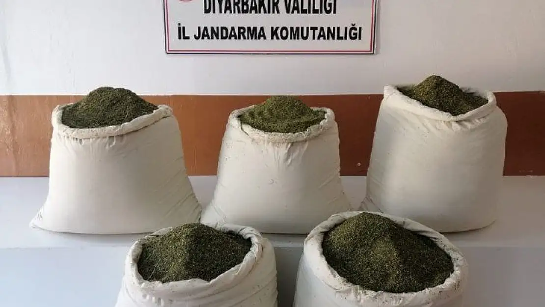 Jandarma operasyonlarından korkup toprağa gömdüğü 162 kilogram esrar ele geçirildi