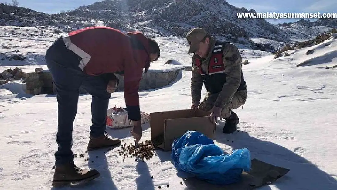 Jandarma yaban hayvanlarını unutmadı