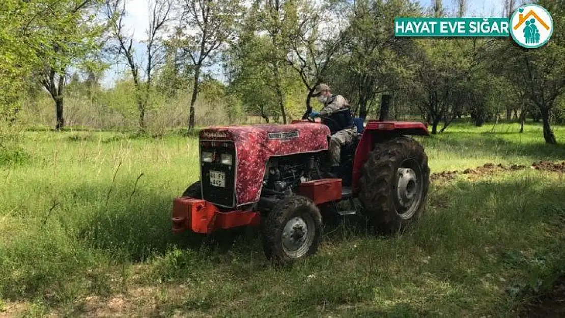 Jandarma yaşlı kadının bahçesini sürdü