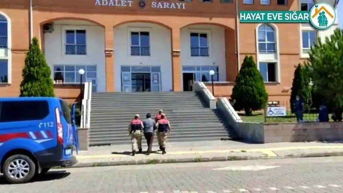 Jandarmadan FETÖ operasyonu