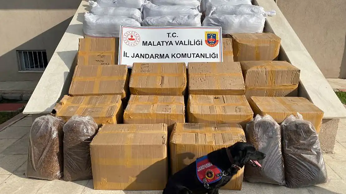 Jandarmadan Malatya'da Zehir ve Kaçakçılığa Darbe