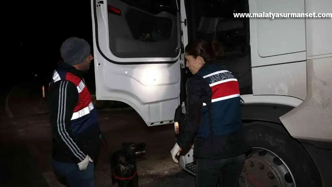 Jandarmadan yabancı uyruklu şahıslara şok uygulama