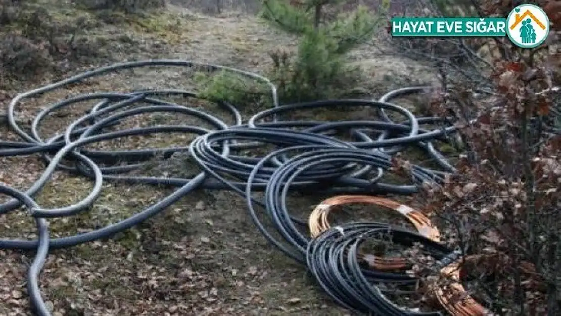 Kablo hırsızları yakayı ele verdi