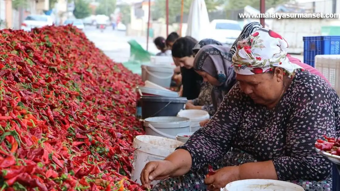 Kadınların 'en acı' mesaisi