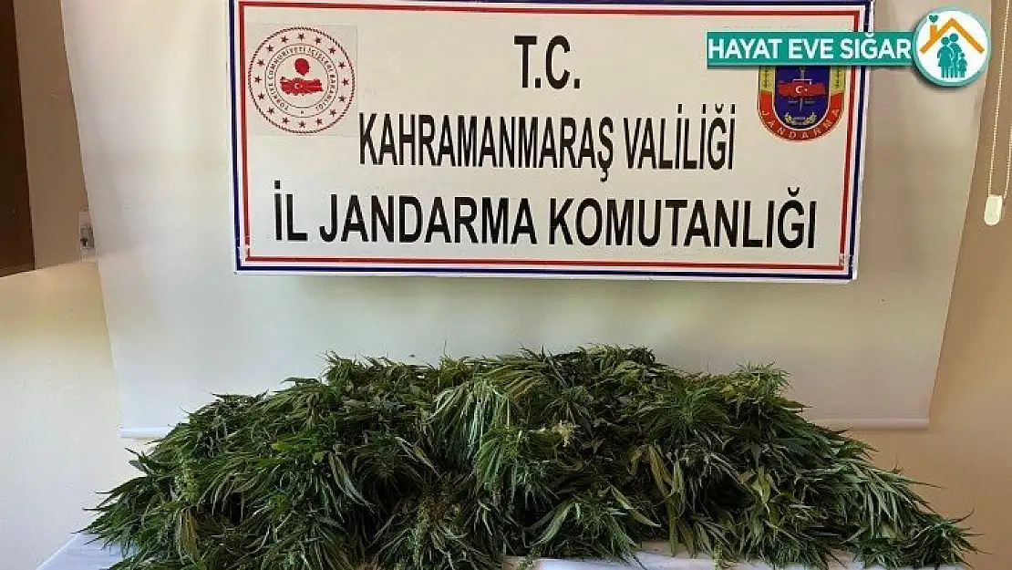 Kahramanmaraş'ta uyuşturucu operasyonu