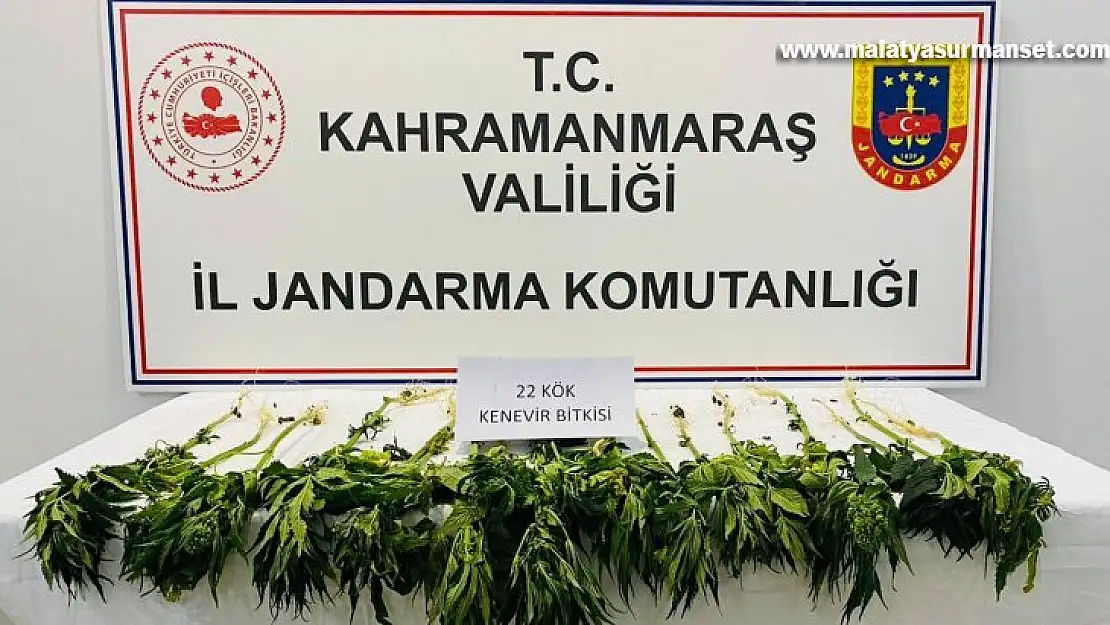 Kahramanmaraş'ta uyuşturucu operasyonu