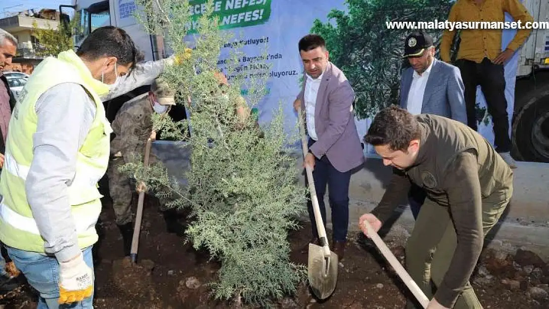 Kahta'da 2 bin 23 fidan dikildi