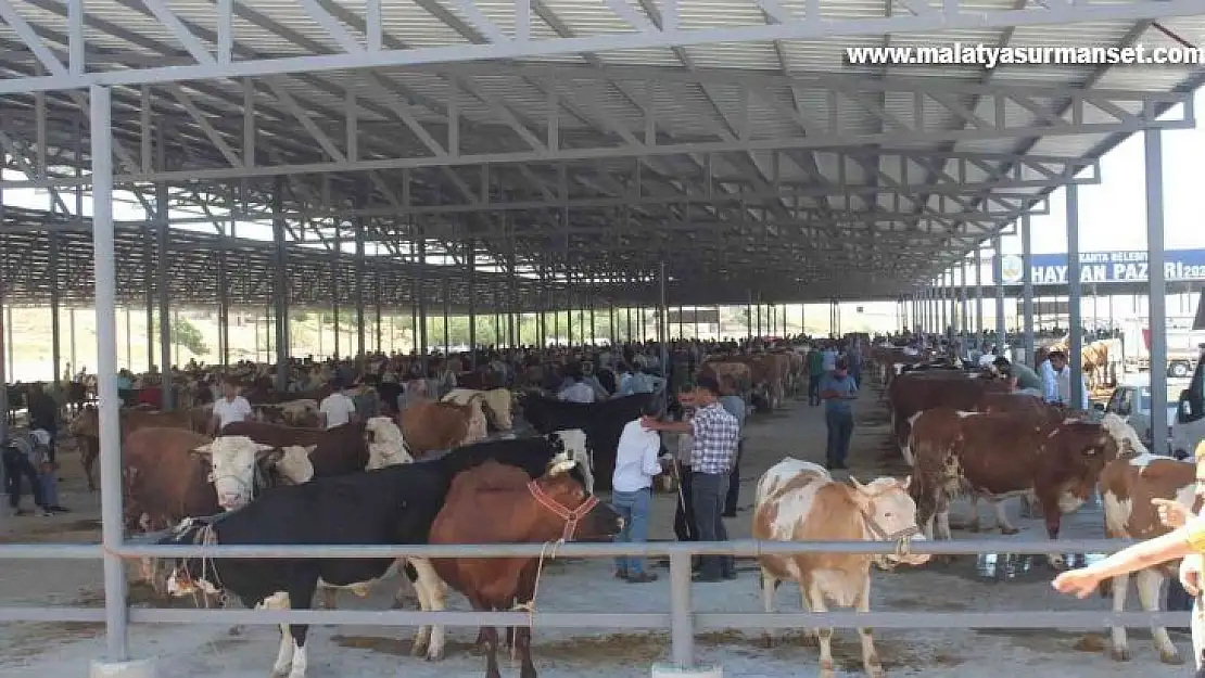 Kahta hayvan pazarı şap hastalığı tedbirleri çerçevesinde kapatıldı