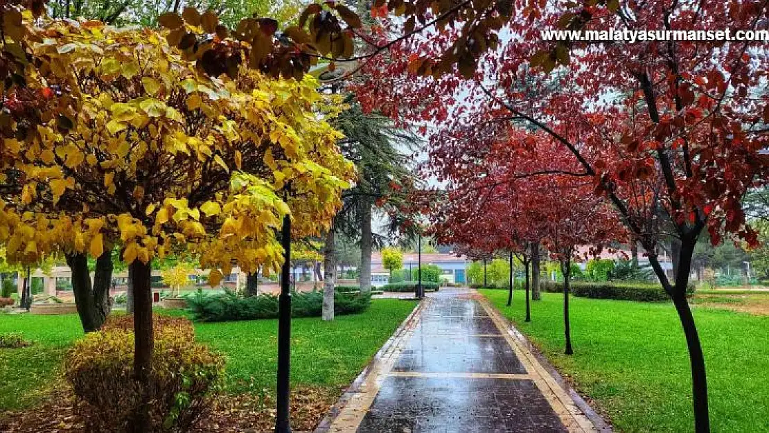 Kampüste sonbahar güzelliği